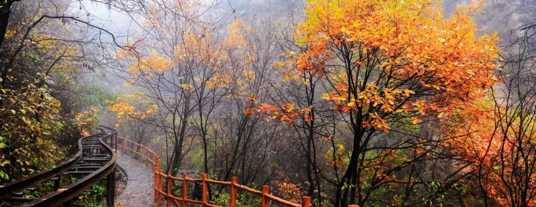 遊賞秋景好去處