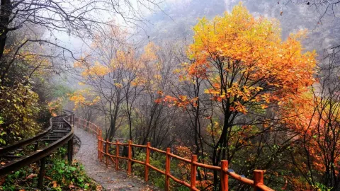 天生橋風景區 attraction in 保定