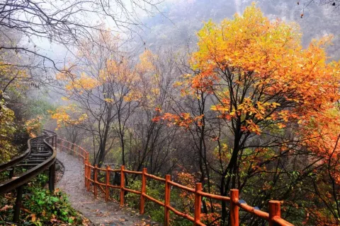 Tianshengqiao Scenic Area