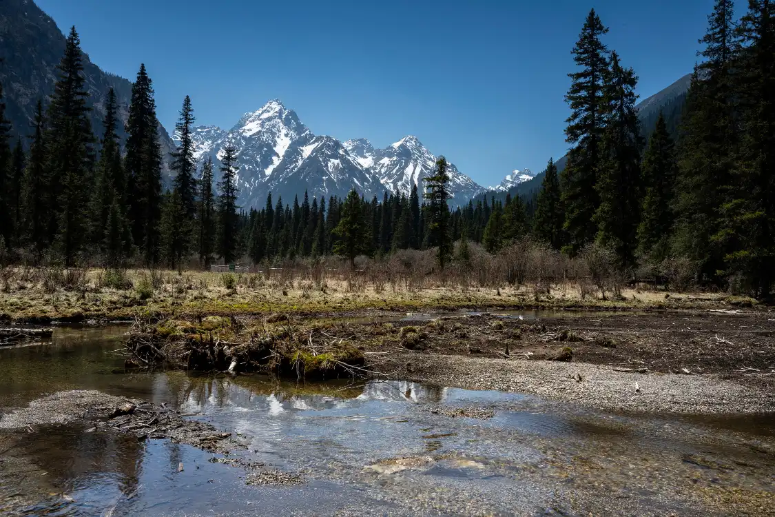 Hotels near Wanglang Panda Exploration Camp