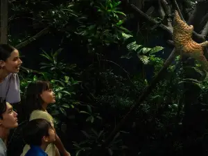 萬態野生動物世界