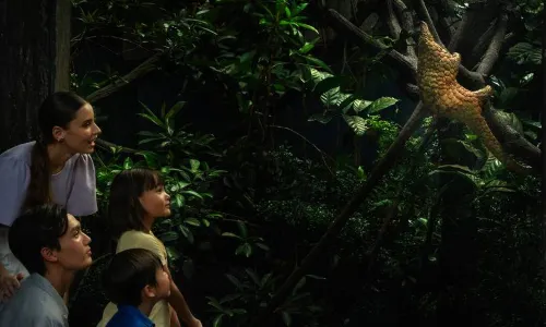 Mandai Wildlife Reserve