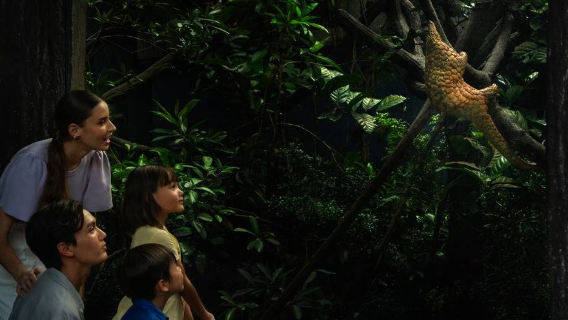 Mandai Wildlife Reserve