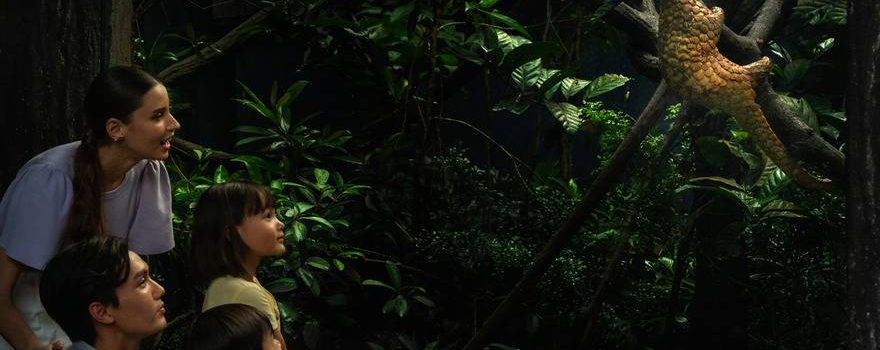 Mandai Wildlife Reserve