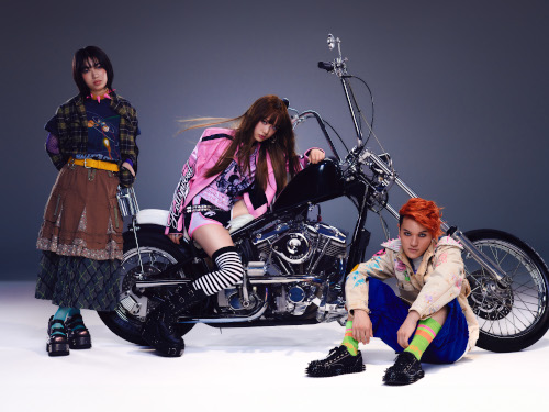 日本岡山 · BRANDY SENKI 2026巡演 | Crazy Mama Kingdom