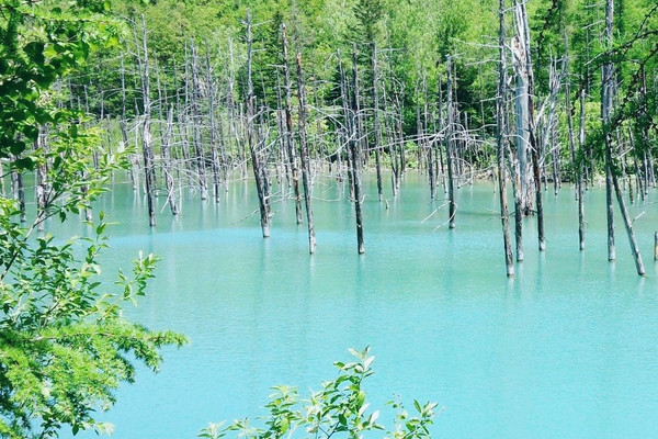 売り切れ必至! ミッシェル バテュ 青い池 額縁 - education.semel