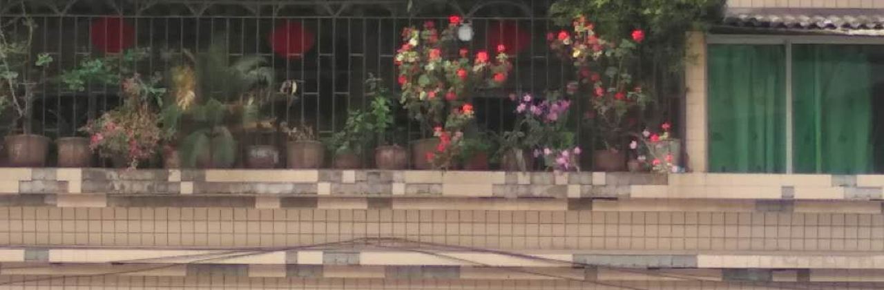 哑巴兔(中兴路店)