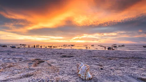 Sunset Sightseeing in Beihai attraction in Beihai