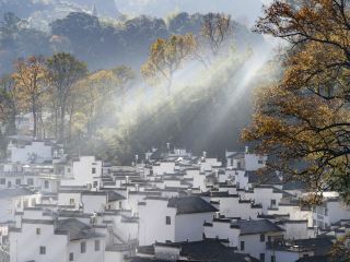 景德鎮10大最佳酒店排名