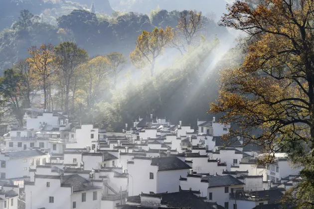 Voli Jingdezhen Hiroshima