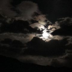 一品牦牛滋补火锅 User Photo