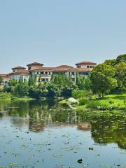 Aixihu Wetland Park