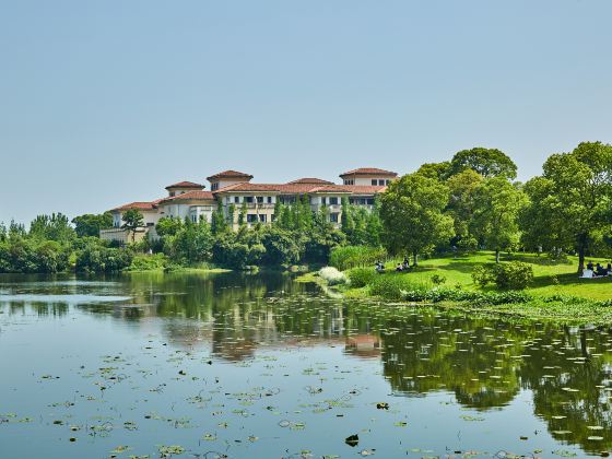 艾溪湖森林濕地公園