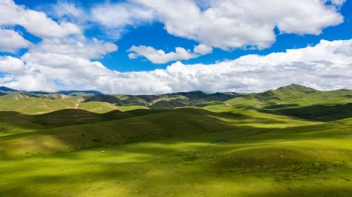 Maqu Grassland