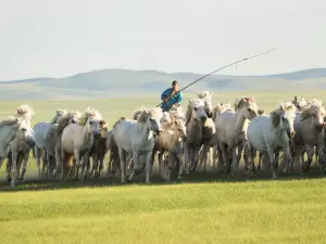 Genpeimiao Tourist Area of Ar Horqin Banner, Chifeng City, Inner Mongolia Autonomous Region