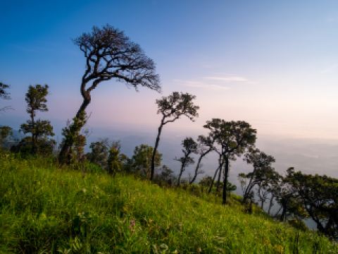 สถานีรถโดยสารฉาเตี้ยนจื่อ โรงแรมใกล้เคียง