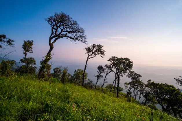 Отели с услугой Трансфер в/из аэропорта в г. Чжуншань
