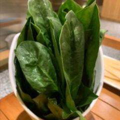 Huopenjingmala Fish (chengdonglu) User Photo