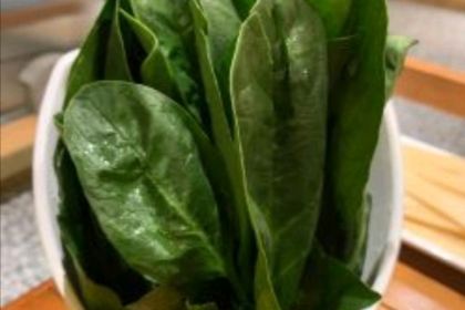 Huopenjingmala Fish (chengdonglu)