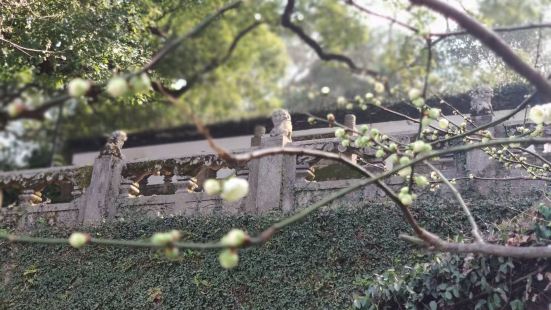 太保公園進去之後，裏面還有兩個寺廟，也是公園的一大亮點，整個