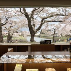 Liuhuating (wulengguo) User Photo