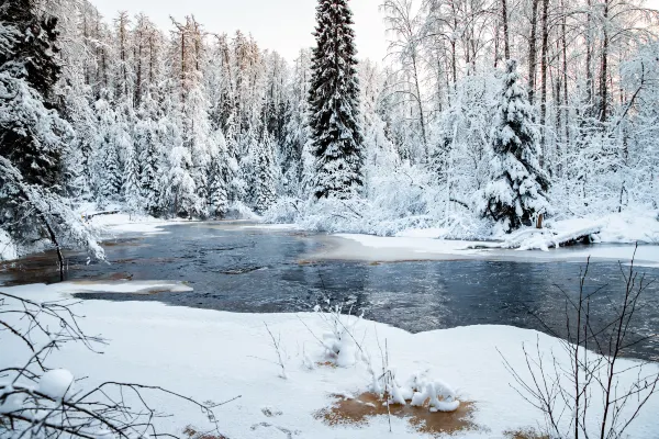 Alaska Airlines Flights to Redding