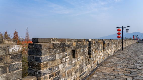 Nanjing Departure: One-Day Private Tour to City Wall, The Oriental Metropolitan Museum, Presidential Palace & Imperial Examination Museum of China