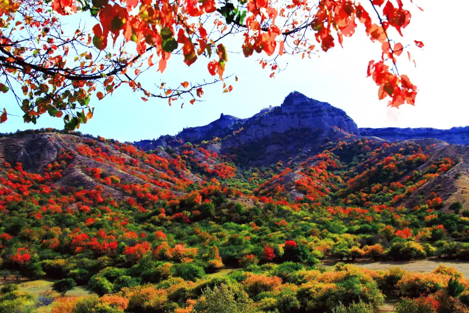 2_China Fushou Mountain Scenic Area