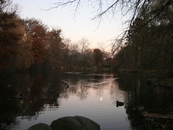 Tiergarten