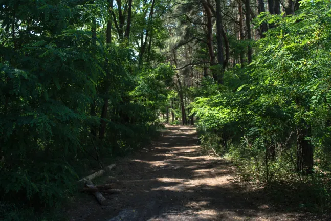 Хоумстей в г. Пангкор