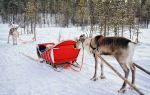 Ewenki Reindeer Park