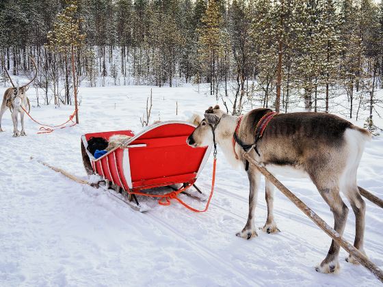 Ewenki Reindeer Park