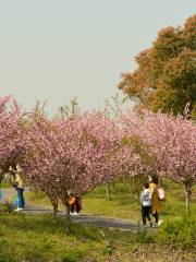 花開海上生態園