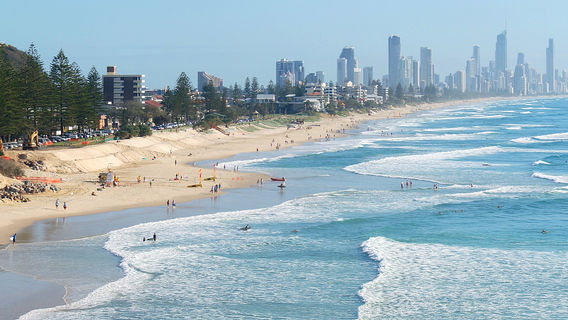 Surfing in Gold Coast