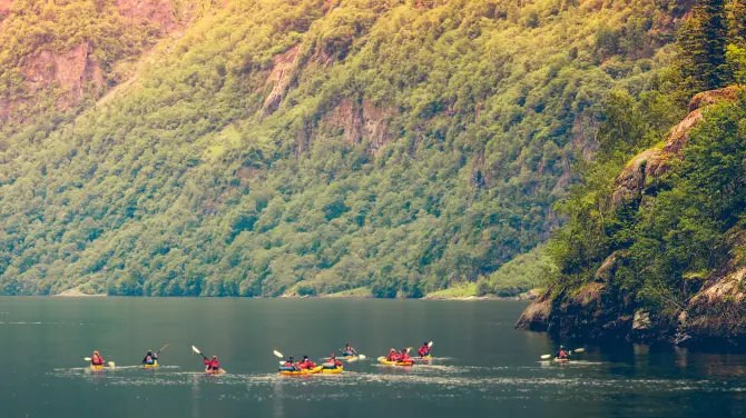 5_Queen Charlotte Sound / Tōtaranui