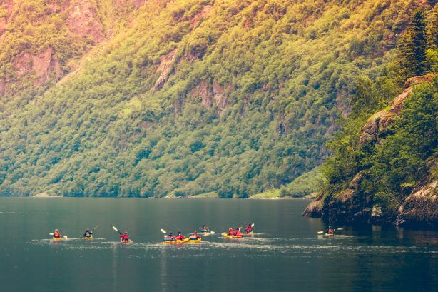 Queen Charlotte Sound / Tōtaranui