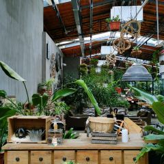 南岸时光 User Photo