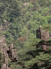 Zhubajie Eating Watermelon, Mount Huang