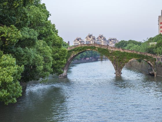 Ningbo Tongji Bridge