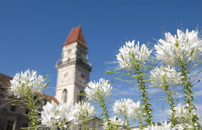 Отели рядом со станцией Augsburg Hbf