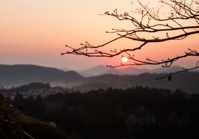 보령시