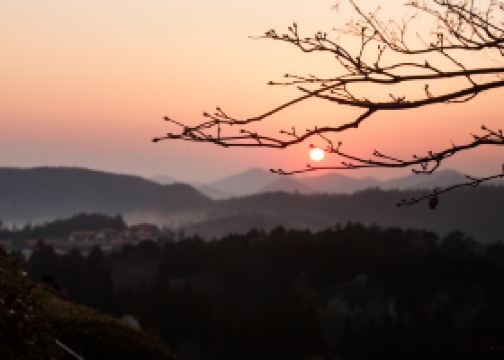 용산역 출발 웅천 행 ktx 시간표