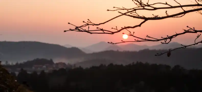 대천 해수욕장 주변 호텔