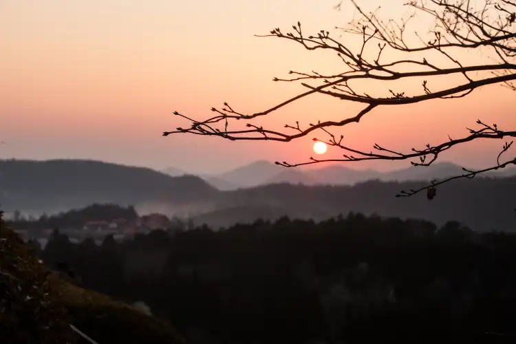 Hotels in Boryeong-si