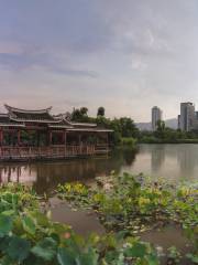 石鑼鼓濕地公園