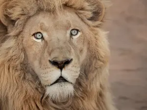 Bahria Enclave Zoo