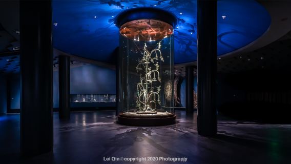 三星堆博物館解說+入場門票