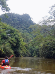 Semadang Kayak