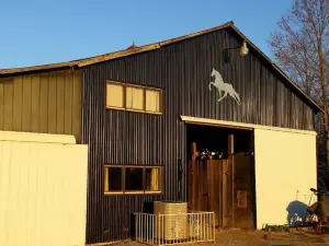 Quiet Woods green river stables