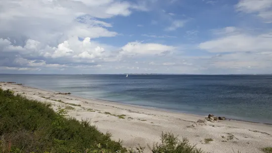 Moesgård Beach